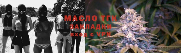 эйфоретик Вяземский