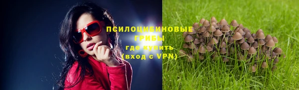 бошки Вязники