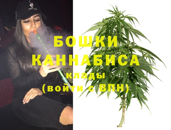 эйфоретик Вяземский