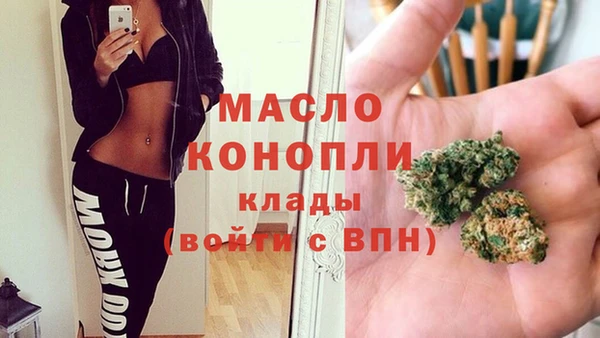 эйфоретик Вяземский