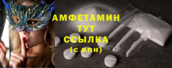 эйфоретик Вяземский